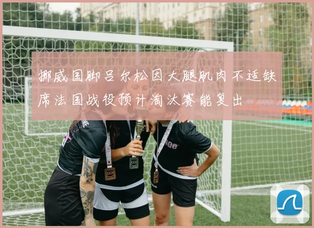 挪威国脚吕尔松因大腿肌肉不适缺席法国战役预计淘汰赛能复出