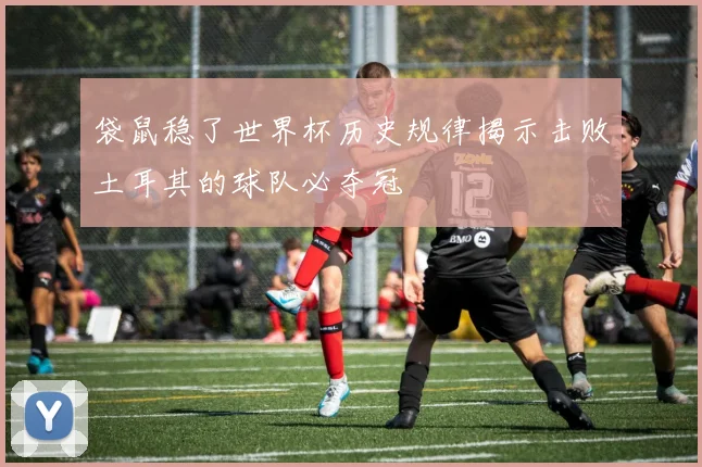 袋鼠稳了世界杯历史规律揭示击败土耳其的球队必夺冠